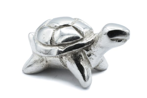 tortoise figure